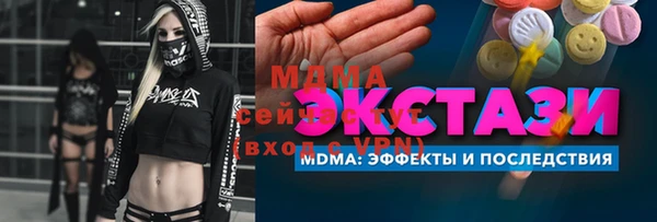 гашик Алексин