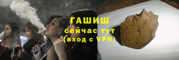 гашик Алексин