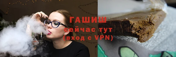 гашик Алексин
