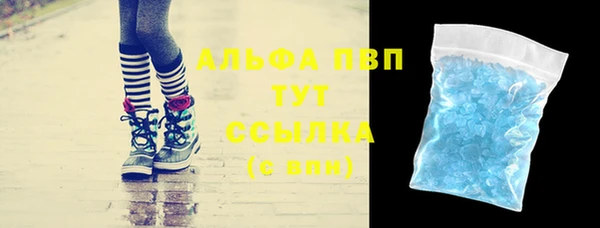 гашик Алексин