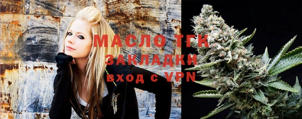 гашик Алексин