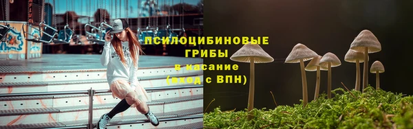 гашик Алексин