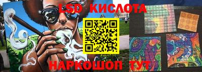 шишки Братск