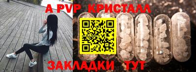шишки Братск