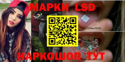 шишки Братск