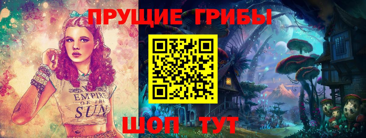 Белореченск  цены   Вход с VPN  Галлюциногенные грибы Cubensis 