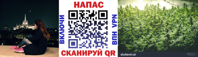 закладка  Белореченск  Каннабис LSD WEED 